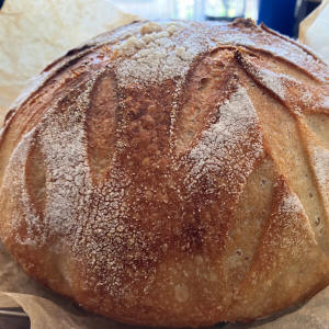 sourdough-bread-making-workshop-sunshine-coast-review-jacque